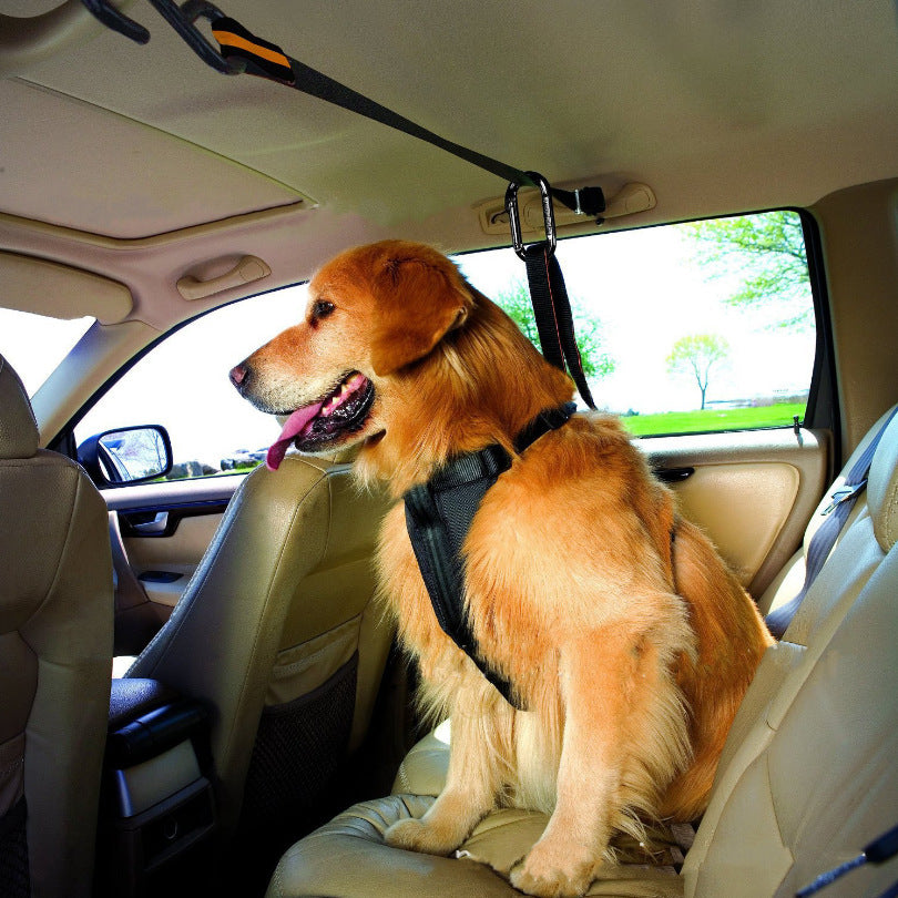 Dog travel safety strap for cars