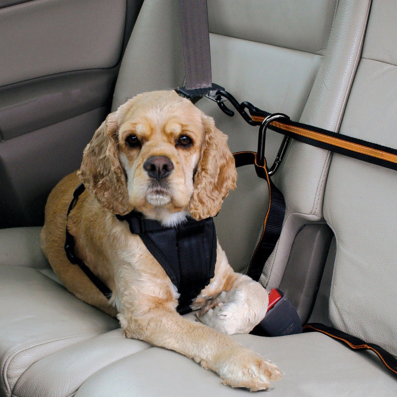 Overhead pet car seatbelt harness for dogs